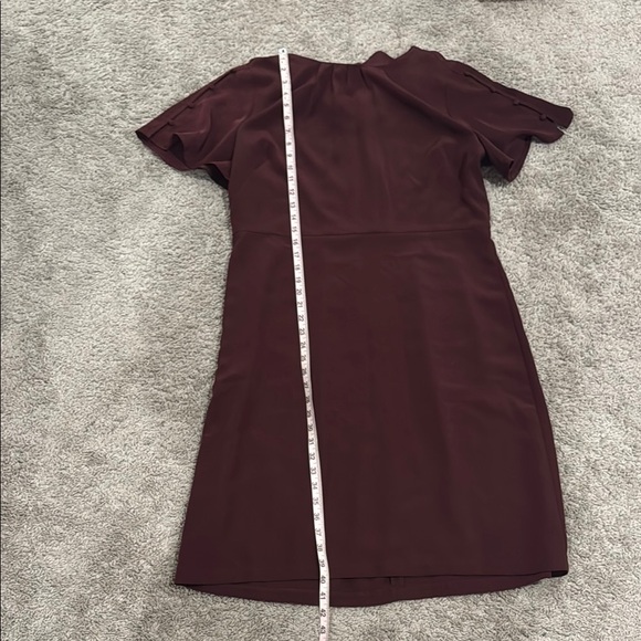 Elegant Burgundy Dress - Picture 2 of 6